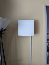 K.P. review photo