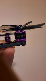 Saul Aldridge review photo