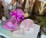 Buttercup review photo