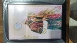 dhanesh babu review photo
