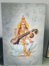 Rhohi sardana review photo