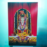 Sanjana Jain review photo