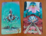 Keren F. review photo