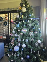 Dianne Squires review photo