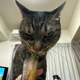 匿名 review photo