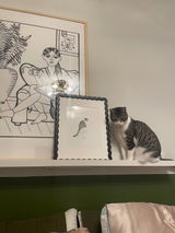 Felipe review photo