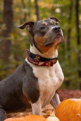 Morgane review photo