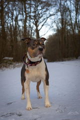 Morgane review photo