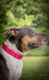 Morgane review photo