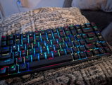 Jimmy Saenz review photo