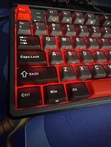 Evan M review photo