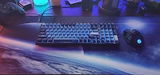 RTEK review photo