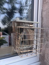 Helen Whelan review photo