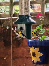 Anonymous review photo