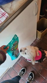Flor Mardones review photo