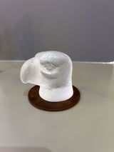 T.A. review photo