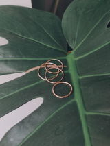 A.N review photo