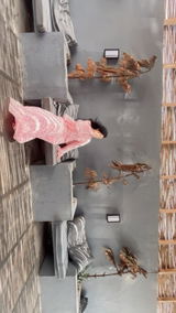 Hafsa Saleem review photo