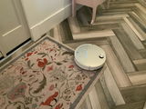 Lesley Thomas review photo