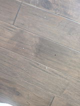Harrison review photo