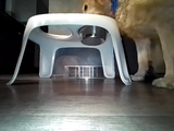 Rike G. review photo