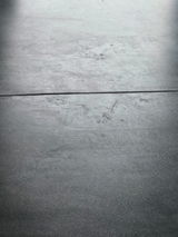 House D. review photo