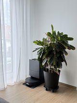 Anonym review photo