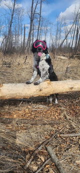 Tiashya B. review photo