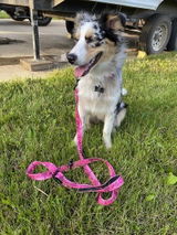 Jerzi W. review photo