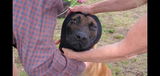 Carter D. review photo