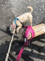 Debi G. review photo