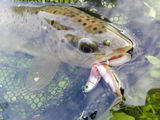EdLepecheur review photo