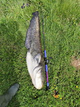 Com1poisson review photo