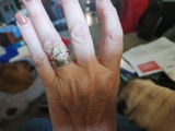 Jan B. review photo