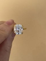 Georgette review photo