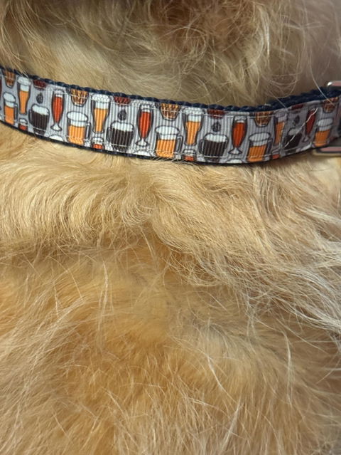 Here for the Beer Dog Collar