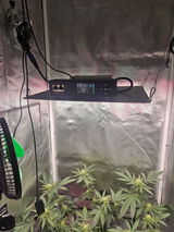 Growbob0910 review photo