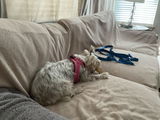 April callans review photo
