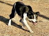 XP Ranch review photo
