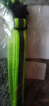 Dario Windler review photo