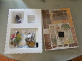 Angela S. review photo