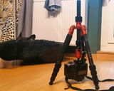 Rainer J. review photo