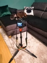Rainer J. review photo