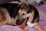 Gerhard W. review photo