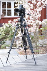 Helmut K. review photo