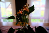Manfred S. review photo