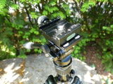 Bernhard H. review photo