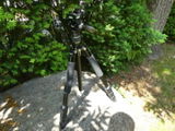 Bernhard H. review photo