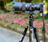 Thiele review photo