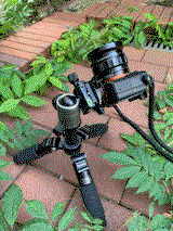 Otmar M. review photo